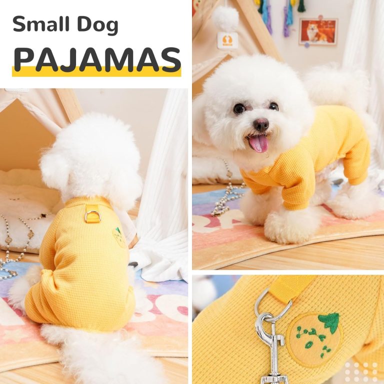 Cute Dachshund Dog Pajamas – The Dachshund Lover Store